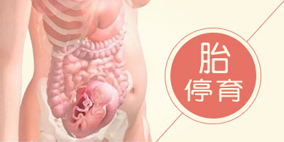 ̥ͣ����ԭ��