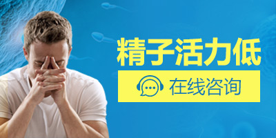 ���ӻ�������ʲô����