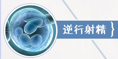 �����侫����