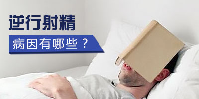 �������������侫�ĳ���������ʲô