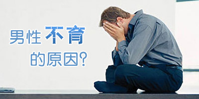 ���ӻ���������