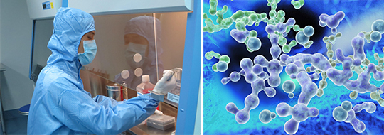 中美阻断氧化应激技术