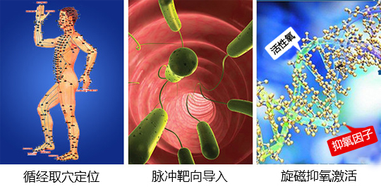 中美阻断氧化应激技术