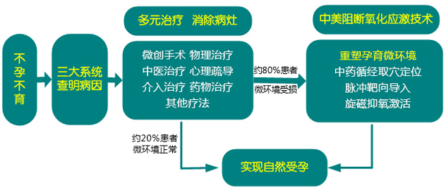 孕育微环境多元诊疗体系